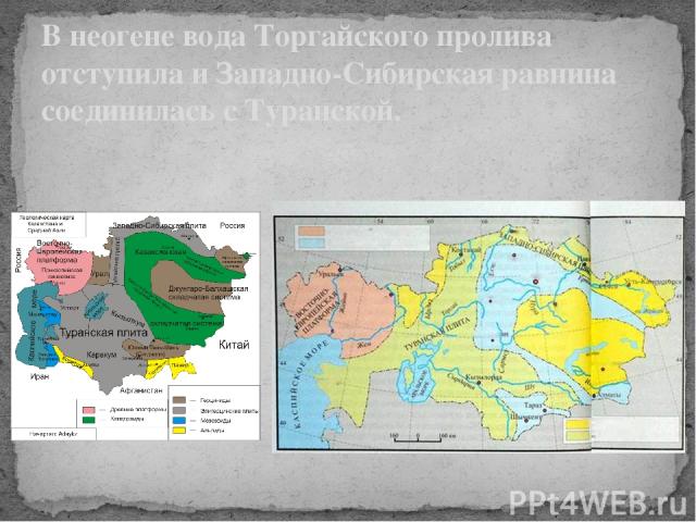 В неогене вода Торгайского пролива отступила и Западно-Сибирская равнина соединилась с Туранской.