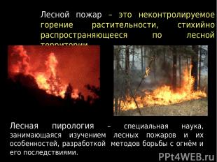 Лесной пожар – это неконтролируемое горение растительности, стихийно распростран