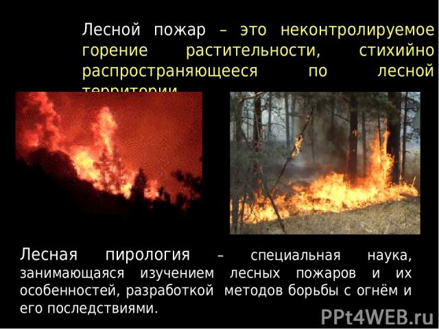 Лесной пожар – это неконтролируемое горение растительности, стихийно распространяющееся по лесной территории. Лесная пирология – специальная наука, занимающаяся изучением лесных пожаров и их особенностей, разработкой методов борьбы с огнём и его пос…