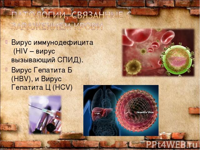 Вирус иммунодефицита (HIV – вирус вызывающий СПИД). Вирус Гепатита Б (HBV), и Вирус Гепатита Ц (HCV)