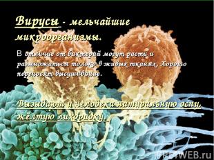 Вирусы - мельчайшие микроорганизмы. В отличие от бактерий могут расти и размножа