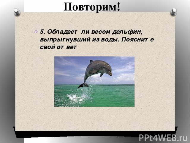 Повторим! 5. Обладает ли весом дельфин, выпрыгнувший из воды. Поясните свой ответ