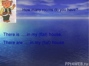 How many rooms do you have? There is .....in my (flat) house. There are .....in