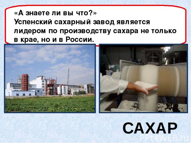 САХАР «А знаете ли вы что?» Успенский сахарный завод является лидером по производству сахара не только в крае, но и в России.