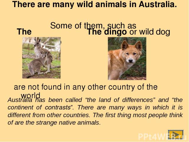 There are many wild animals in Australia. Some of them, such as The kangaroo are not found in any other country of the world Australia has been called “the land of differences” and “the continent of contrasts”. There are many ways in which it is dif…