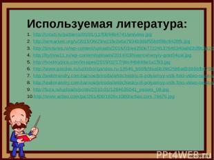 Используемая литература: http://crosti.ru/patterns/00/01/11/f0b94b4741/preview.j