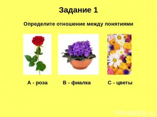 Задание 1 Определите отношение между понятиями А - роза В - фиалка С - цветы