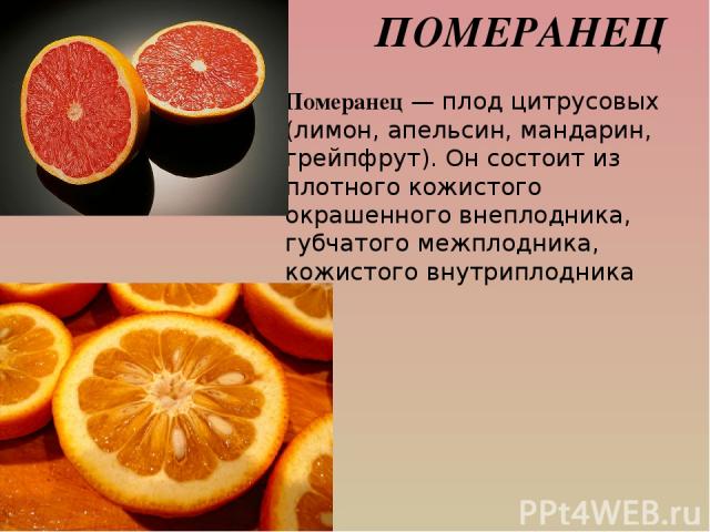 ПОМЕРАНЕЦ Померанец — плод цитрусовых (лимон, апельсин, мандарин, грейпфрут). Он состоит из плотного кожистого окрашенного внеплодника, губчатого межплодника, кожистого внутриплодника