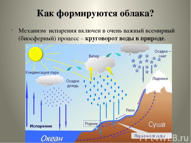 Как формируются облака? Механизм испарения включен в очень важный всемирный (биосферный) процесс – круговорот воды в природе.