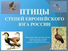 Птицы степей европейского юга России
