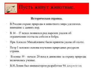 Историческая справка. В России охране природы и животного мира уделялось внимани