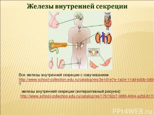 железы внутренней секреции (интерактивный рисунок)http://www.school-collection.e