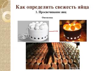 Как определить свежесть яйца 1. Просвечивание яиц Овоскопы