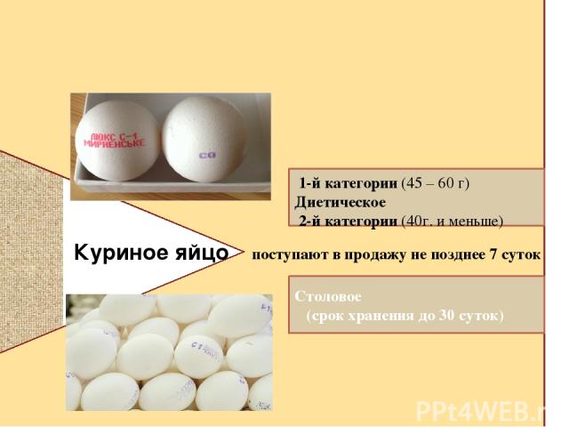 Какую информацию содержит штамп на яйце Столовое (срок хранения до 30 суток) 1-й категории (45 – 60 г) Диетическое 2-й категории (40г. и меньше) поступают в продажу не позднее 7 суток Куриное яйцо