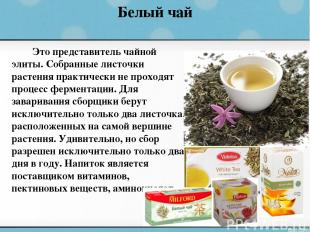 Белый чай Это представитель чайной элиты. Собранные листочки растения практическ