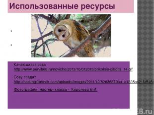 Использованные ресурсы Качающаяся сова http://www.pervik66.ru/novicho/2013/10/01
