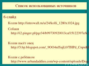 Список использованных источников 6 слайд Колли http://introwall.ru/a/24/kolli_12