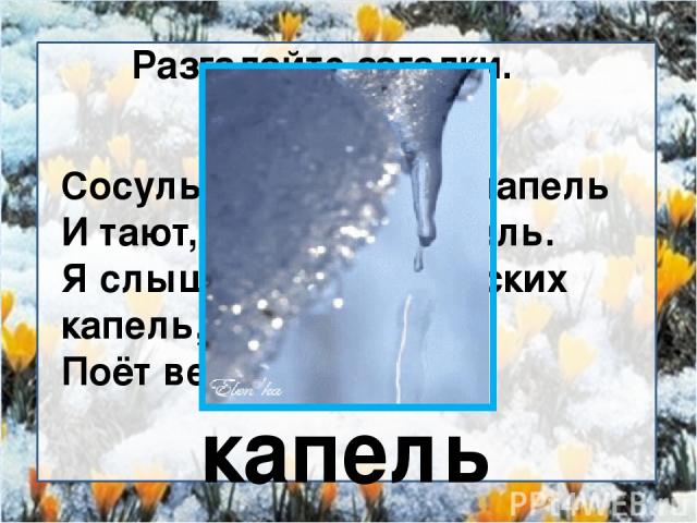 Разгадайте загадки. Сосульки как носы у цапель И тают, словно карамель. Я слышу звон апрельских капель, Поёт весенняя… капель