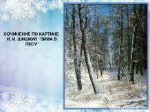 Сочинение по картине И.И. Шишкина "Зима в лесу"