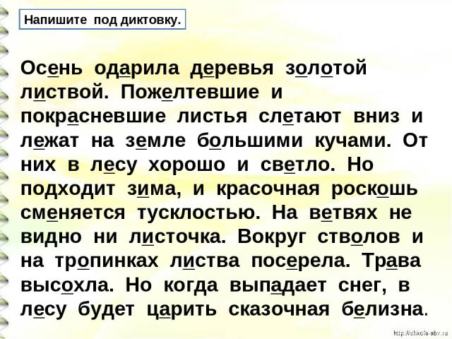 Напишите под диктовку. Осень одарила деревья золотой листвой. Пожелтевшие и покрасневшие листья слетают вниз и лежат на земле большими кучами. От них в лесу хорошо и светло. Но подходит зима, и красочная роскошь сменяется тусклостью. На ветвях не ви…