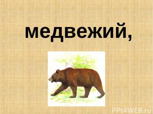 медвежий,