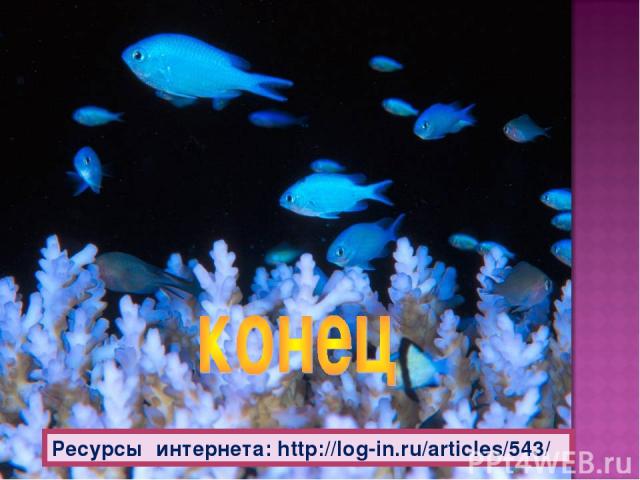 Ресурсы интернета: http://log-in.ru/articles/543/