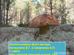 Использованы фото автора: Вичкунина В.Г. и Смирнова А.П. с сайта http://nsvirsk.