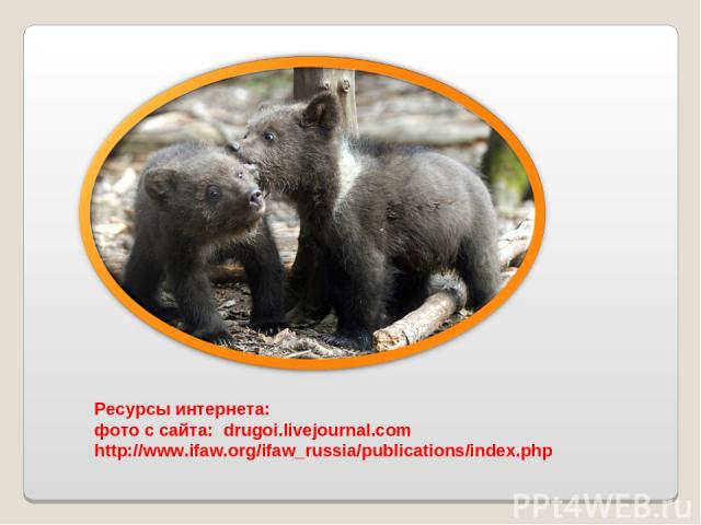 Ресурсы интернета: фото с сайта:  drugoi.livejournal.com http://www.ifaw.org/ifaw_russia/publications/index.php