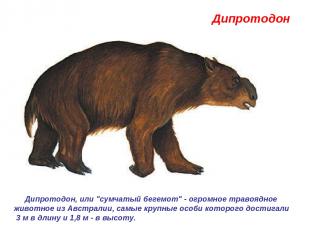 Дипротодон  Дипротодон, или "сумчатый бегемот" - огромное травоядное животное из