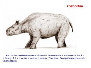 Токсодон Это был южноамериканский аналог бегемотов и носорогов: до 3 м в длину,