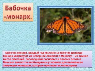 Бабочка-монарх. Каждый год миллионы бабочек Данаида-монарх мигрируют из Северной