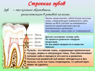 Зуб – это костное образование, расположенное в ротовой полости. Эмаль представля