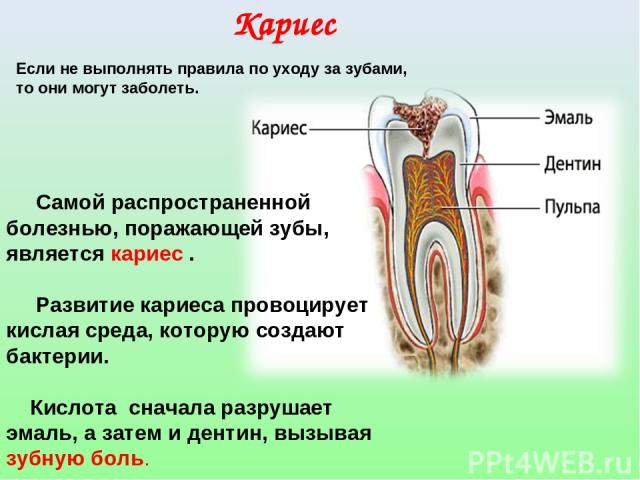 Кариес Самой распространенной болезнью, поражающей зубы, является кариес . Развитие кариеса провоцирует кислая среда, которую создают бактерии. Кислота сначала разрушает эмаль, а затем и дентин, вызывая зубную боль. Если не выполнять правила по уход…