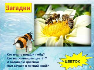 Кто пчеле подарит мёд? Кто на солнышке цветёт? И головкою цветной Нам качает в л
