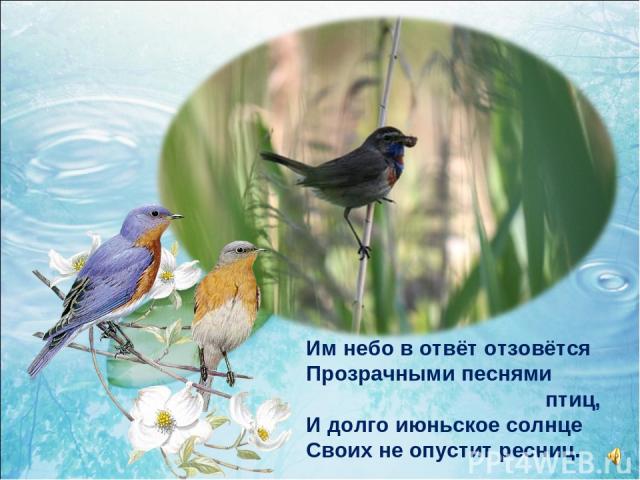 Им небо в отвёт отзовётся Прозрачными песнями птиц, И долго июньское солнце Своих не опустит ресниц.