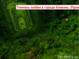 Тоннель любви в городе Клевань (Украина)