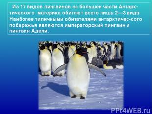 Из 17 видов пингвинов на большей части Антарк-тического материка обитают всего л