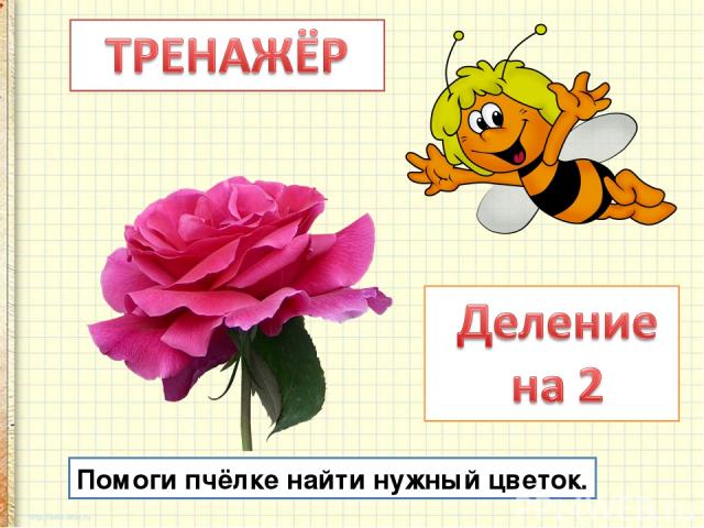 Помоги пчёлке найти нужный цветок.