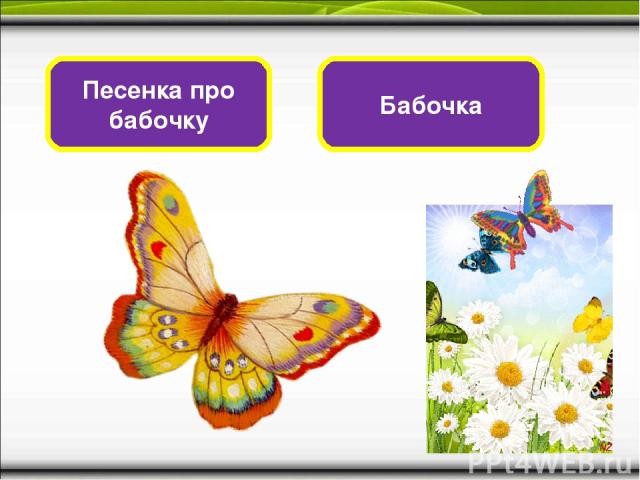 Какая бабочка песня. Бабочки для презентации для детей. Песенка про бабочку. Песни про бабочек. Песенка про бабочку детская.
