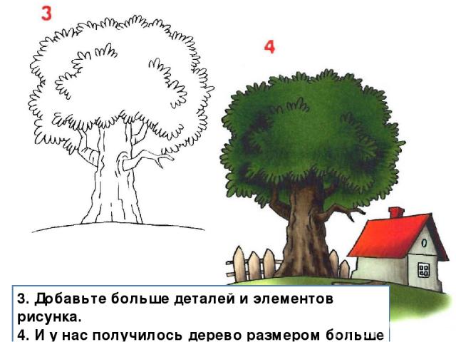 3. Добавьте больше деталей и элементов рисунка. 4. И у нас получилось дерево размером больше дома.