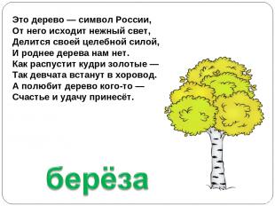 Это дерево — символ России, От него исходит нежный свет, Делится своей целебной