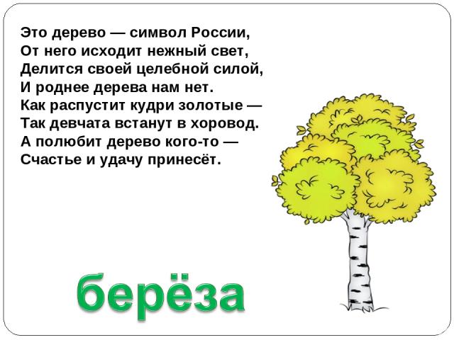 Это дерево — символ России, От него исходит нежный свет, Делится своей целебной силой, И роднее дерева нам нет. Как распустит кудри золотые — Так девчата встанут в хоровод. А полюбит дерево кого-то — Счастье и удачу принесёт.