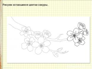 Рисуем оставшиеся цветки сакуры.