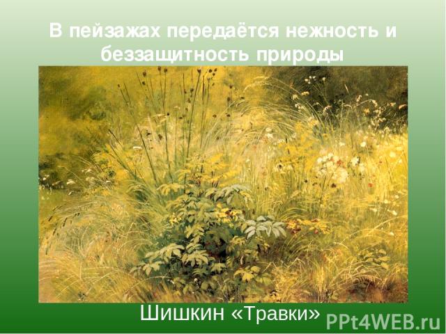 В пейзажах передаётся нежность и беззащитность природы Шишкин «Травки»