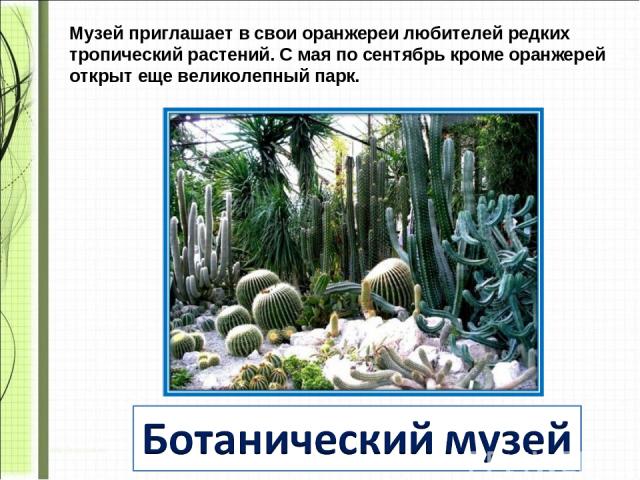 Музей приглашает в свои оранжереи любителей редких тропический растений. С мая по сентябрь кроме оранжерей открыт еще великолепный парк.