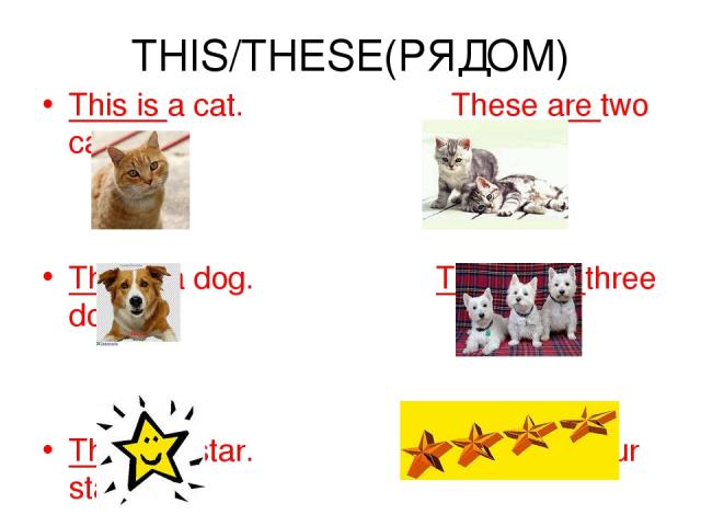 THIS/THESE(РЯДОМ) This is a cat. These are two cats. This is a dog. These are three dogs. This is a star. These are four stars.
