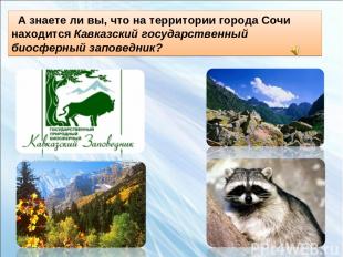 А знаете ли вы, что на территории города Сочи находится Кавказский государственн