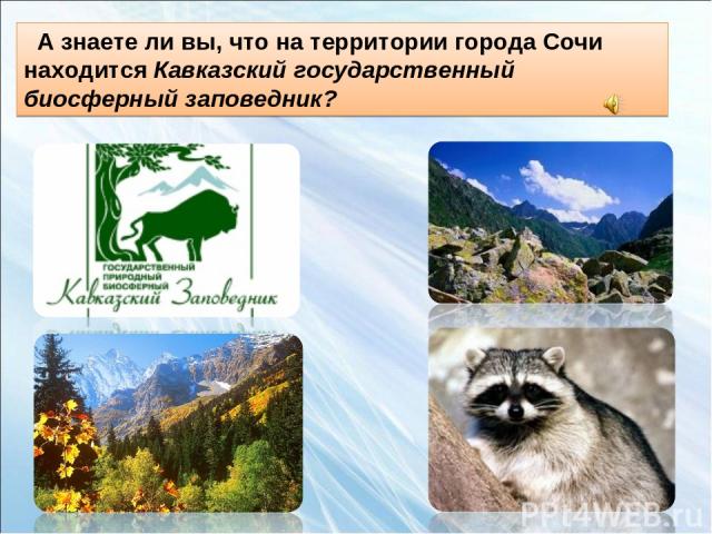 А знаете ли вы, что на территории города Сочи находится Кавказский государственный биосферный заповедник?