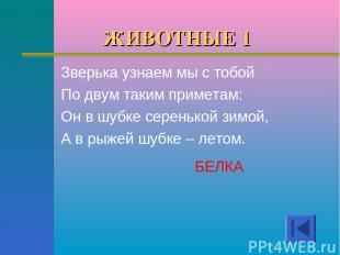 ЖИВОТНЫЕ 1 БЕЛКА Зверька узнаем мы с тобой По двум таким приметам: Он в шубке се