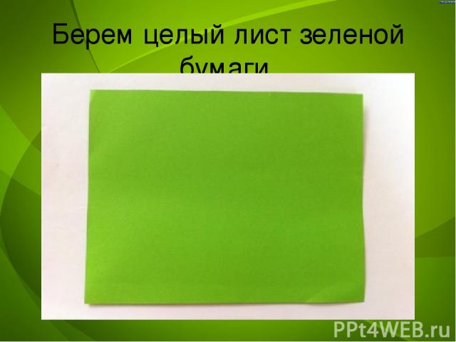 Берем целый лист зеленой бумаги.